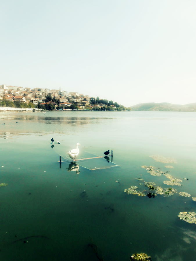 Nature Photograph - one lake for Orestes by Ioanna Papanikolaou