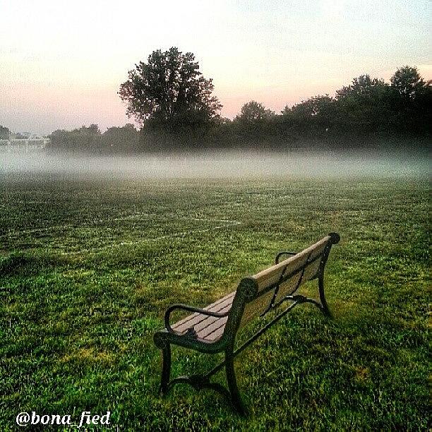 One Lone Bench Amongst The Morning Mist Photograph by Brian Lyons