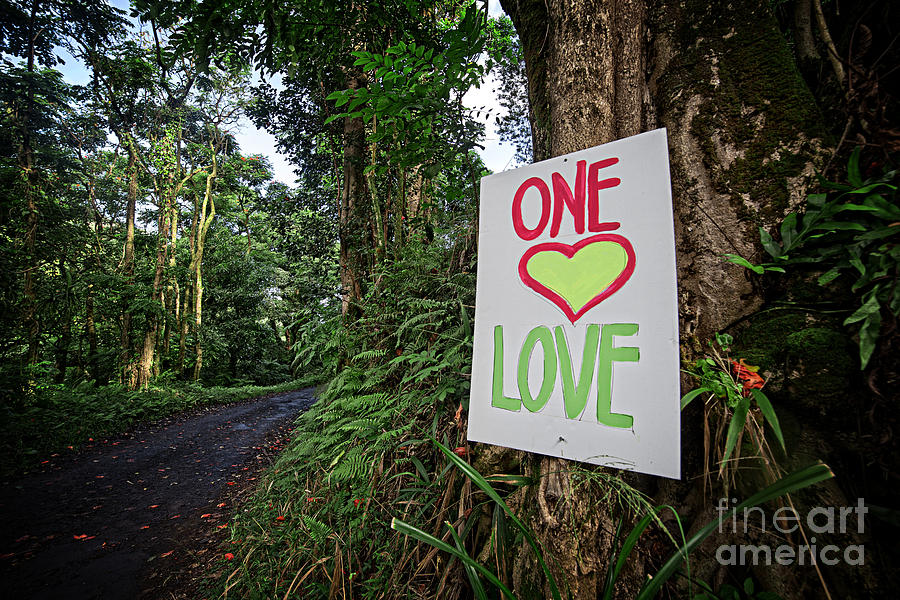 One Love Maui Hawaii Photograph by Edward Fielding