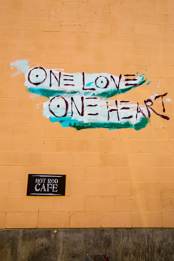 One Love One Heart Photograph by Karol Livote