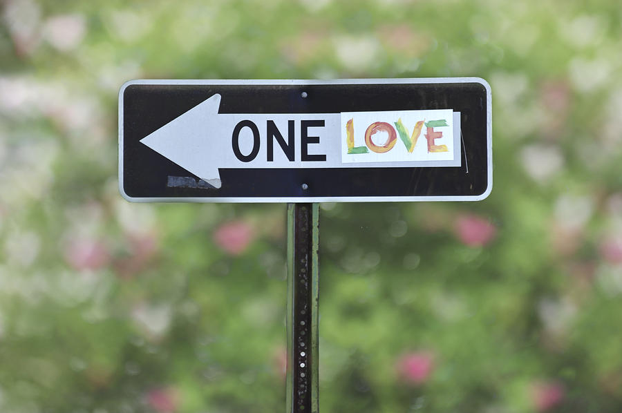 One Love Photograph by Terry DeLuco