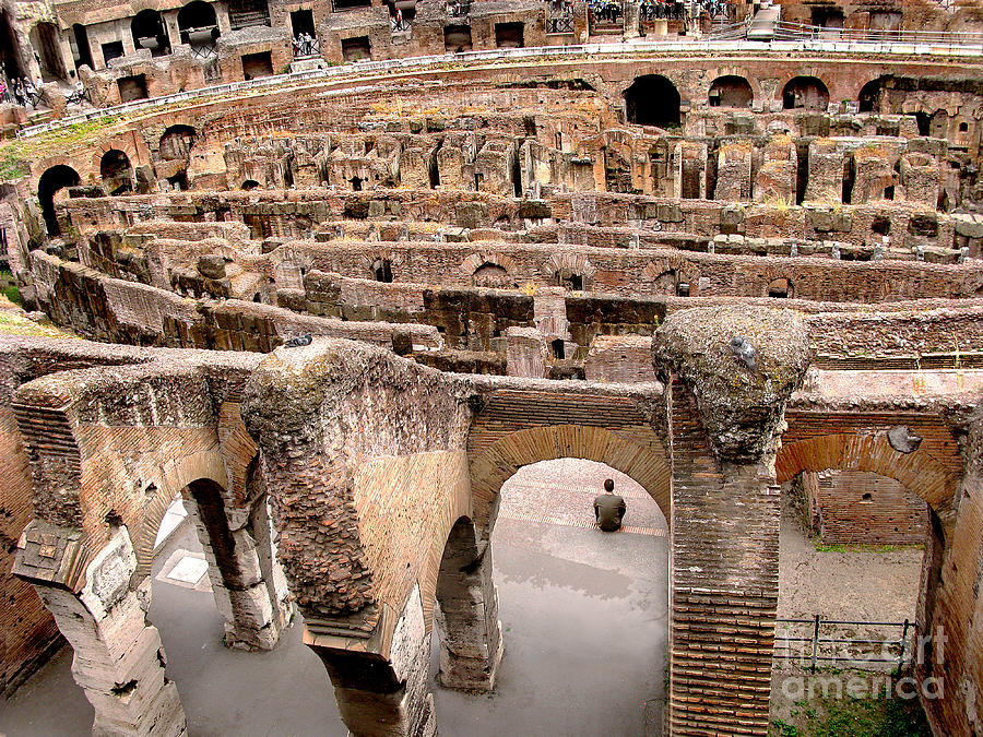 One Man Coliseum. Rome Photograph by Jennie Breeze