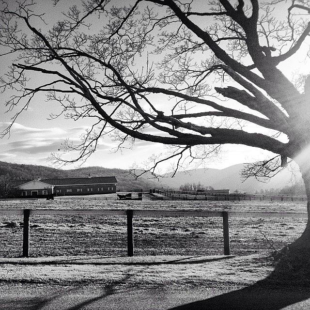 Newyork Photograph - One More B&w For The Day :) This Farm by Nicole DAleo
