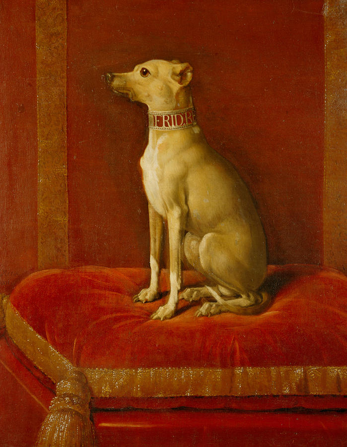 Dog Painting - One of Frederick II Italian greyhounds by German School