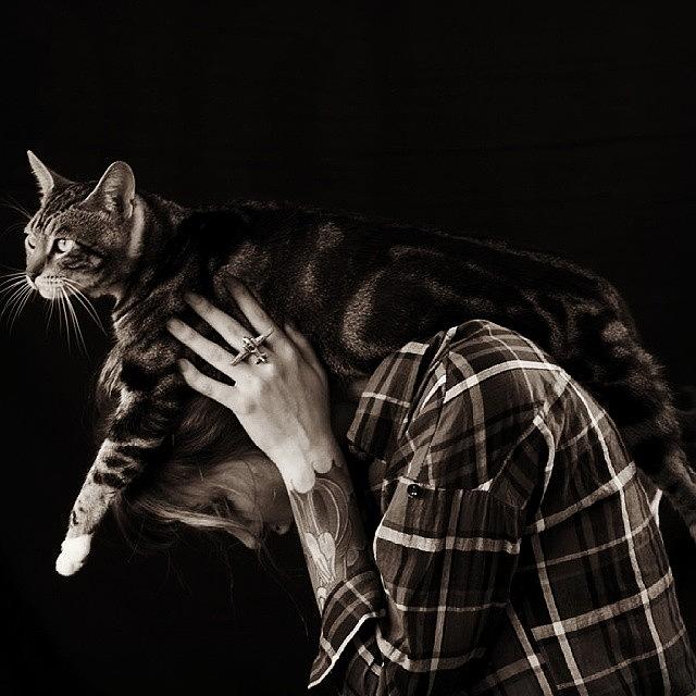 Cat Photograph - One Of My Favourite Photographs Ive by Matt Keeson