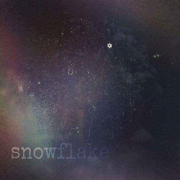 Winter Photograph - One Of Perfect Large Snowflakes Stuck by Linandara Linandara