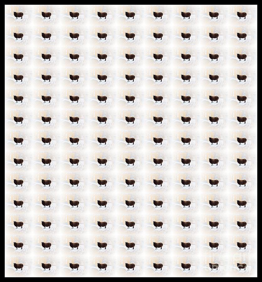 Sheep Photograph - Counting Black Sheep by Barbara A Griffin