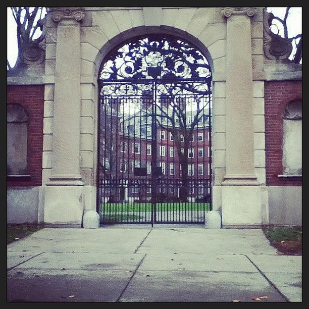 One Of The Gates At Harvard University Photograph by Tanya Pillay