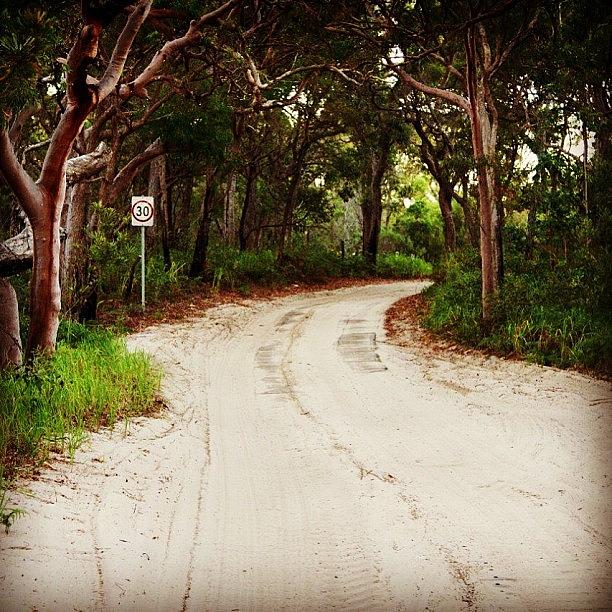 Nature Photograph - One Of The Inland 4wd Tracks At Orchid by Lana Houlihan