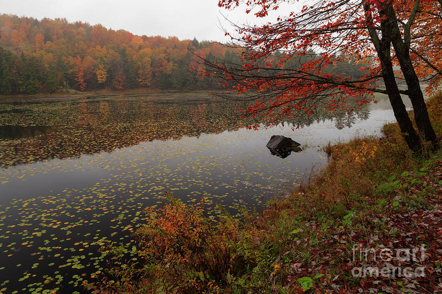 Fall Photograph - One of the Worcester Ponds by Charles Kozierok