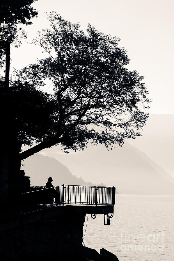 One Old Man Sitting In Shade Of Tree Overlooking Lake Como Photograph by Peter Noyce