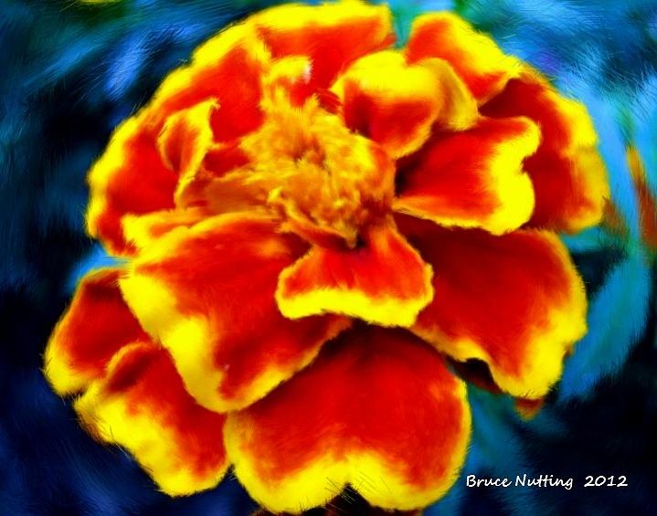 One Orange Flower Painting by Bruce Nutting