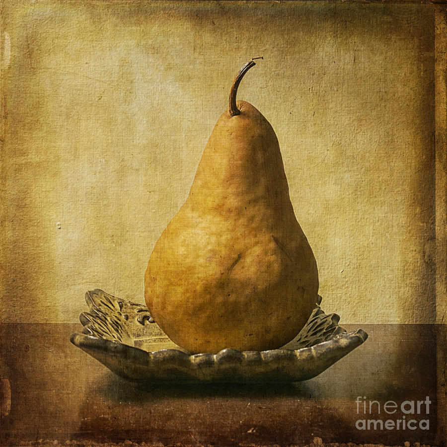 One Pear Meditation Photograph by Terry Rowe