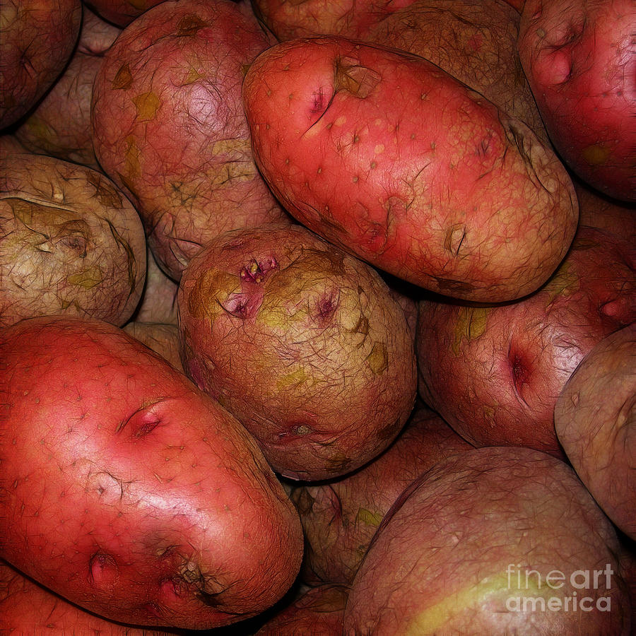 One Potato Two Potato . . .  Photograph by Judi Bagwell