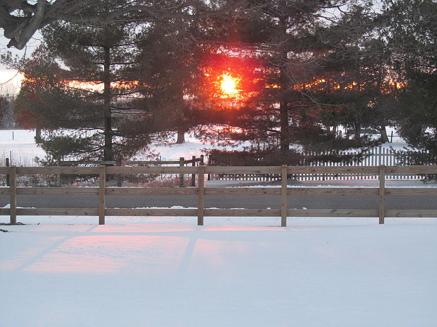Winter Photograph - One Rare Winter Sunset by Tina M Wenger