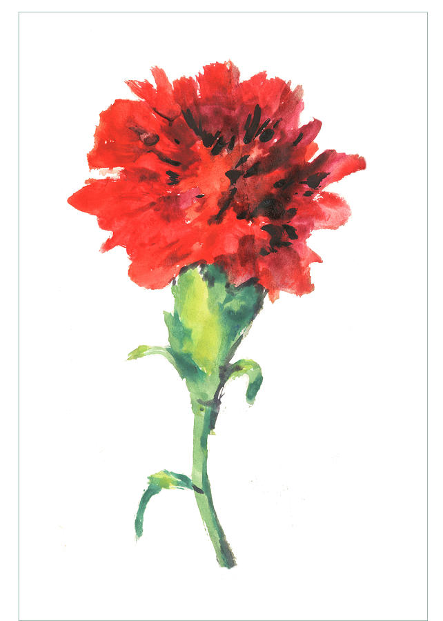 One Red Carnation Painting by Lily Lily | Fine Art America