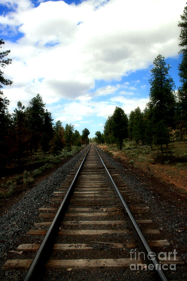 Railroad Photograph - One Track Mind by Michael Creamer