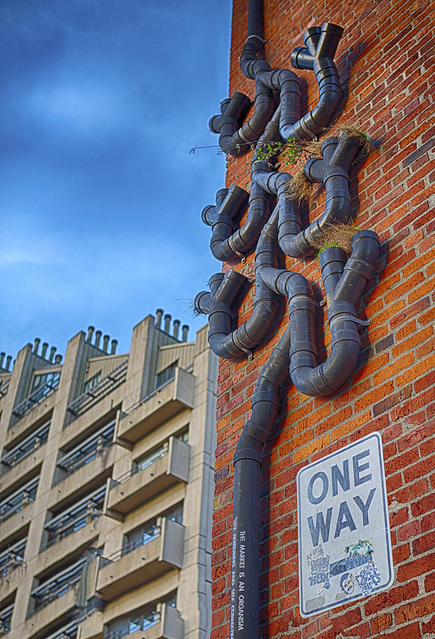 One way to a wrong turn Photograph by Scott Campbell