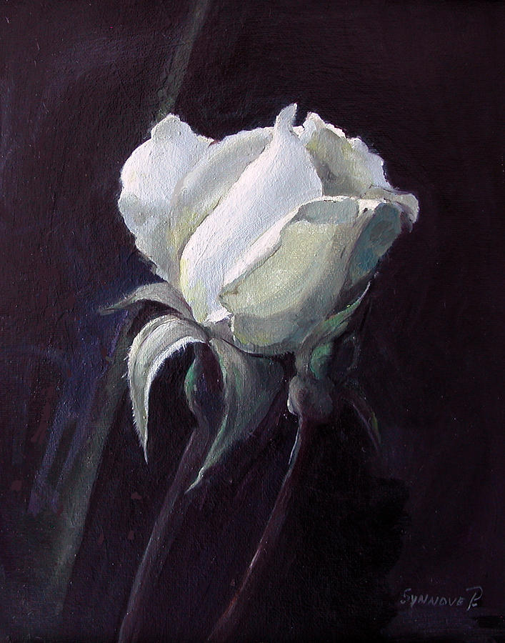 One White Rose Painting by Synnove Pettersen