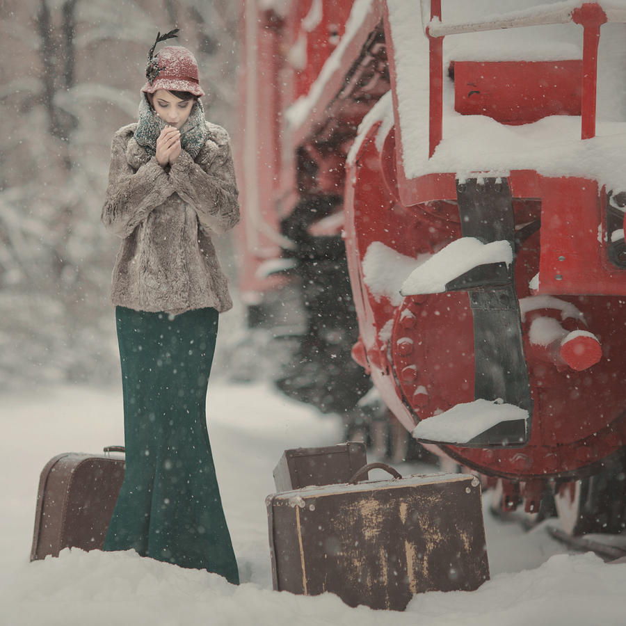 One winter story Photograph by Anka Zhuravleva