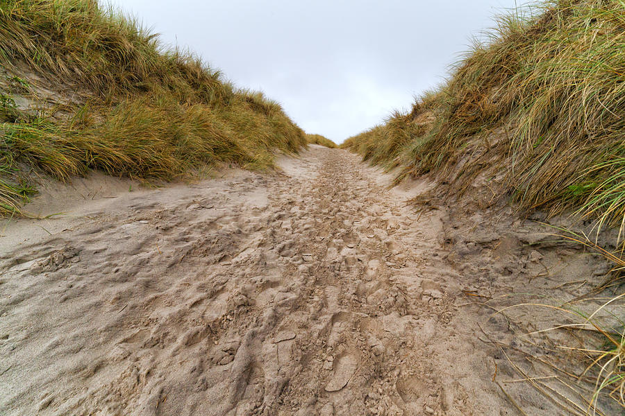 Beach sandy path Photograph by Mike Santis