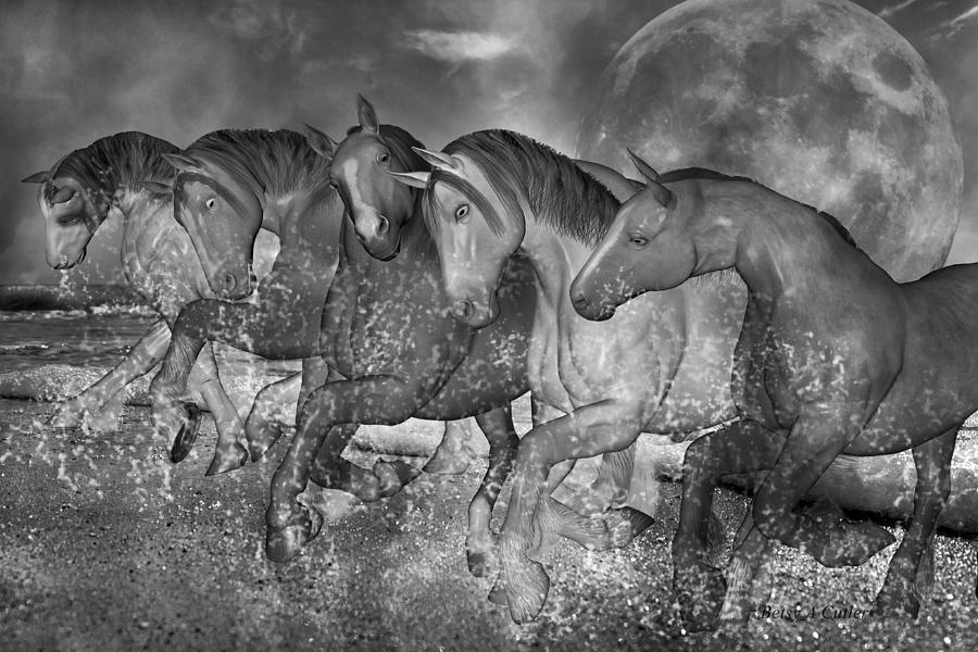 Horse Digital Art - One With the Sea by Betsy Knapp