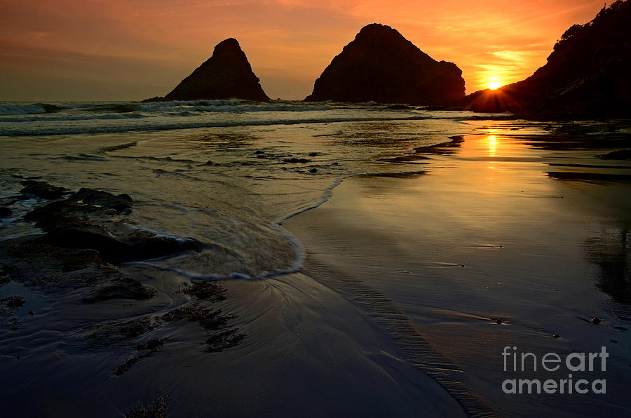 Sunset Photograph - One With The Sea by Nick Boren