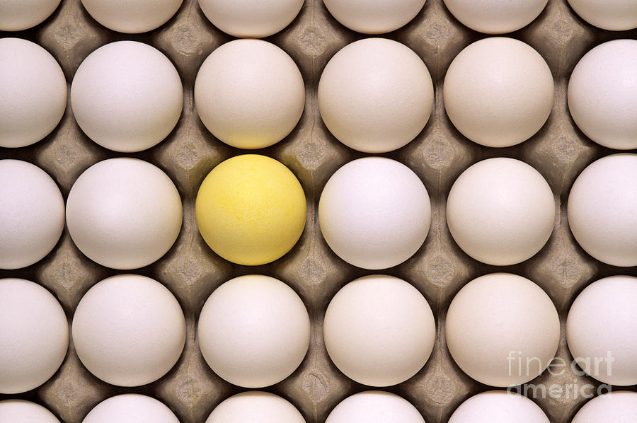 One yellow egg with white eggs Photograph by Jim Corwin