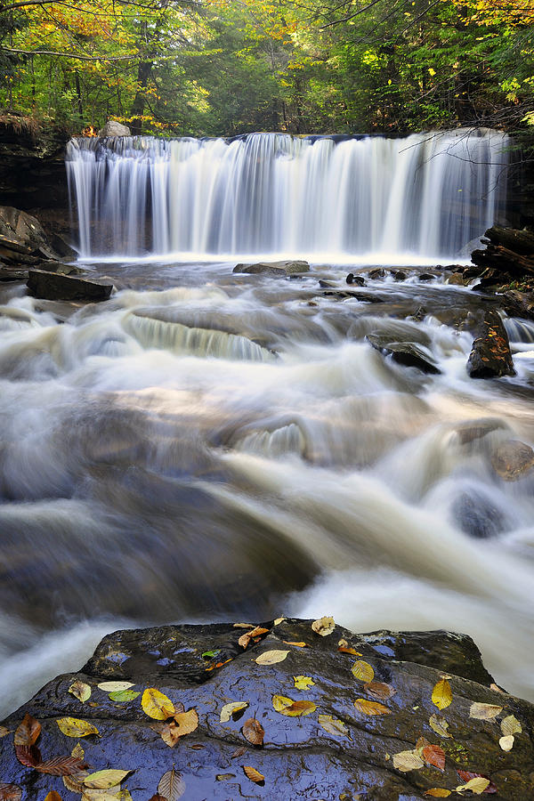 Oneida Falls  Photograph by Dan Myers