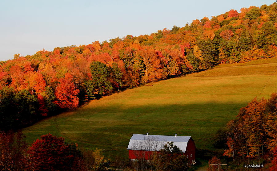 Oneonta Photograph by Katherine Bechtold Fine Art America