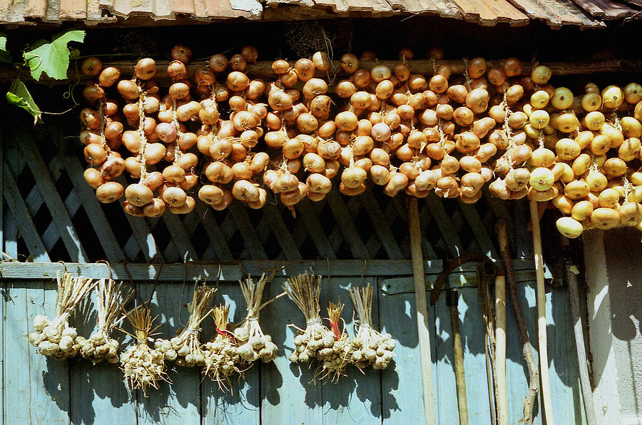Onion and garlic harvest Photograph by Emanuel Tanjala