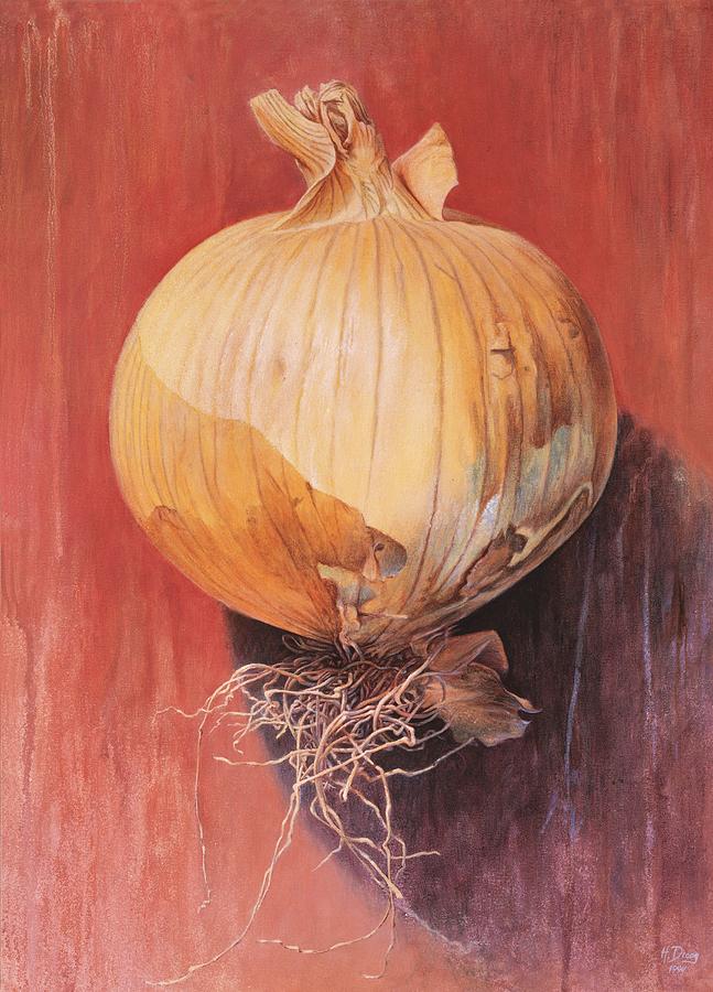 Onion Painting - Onion by Hans Droog