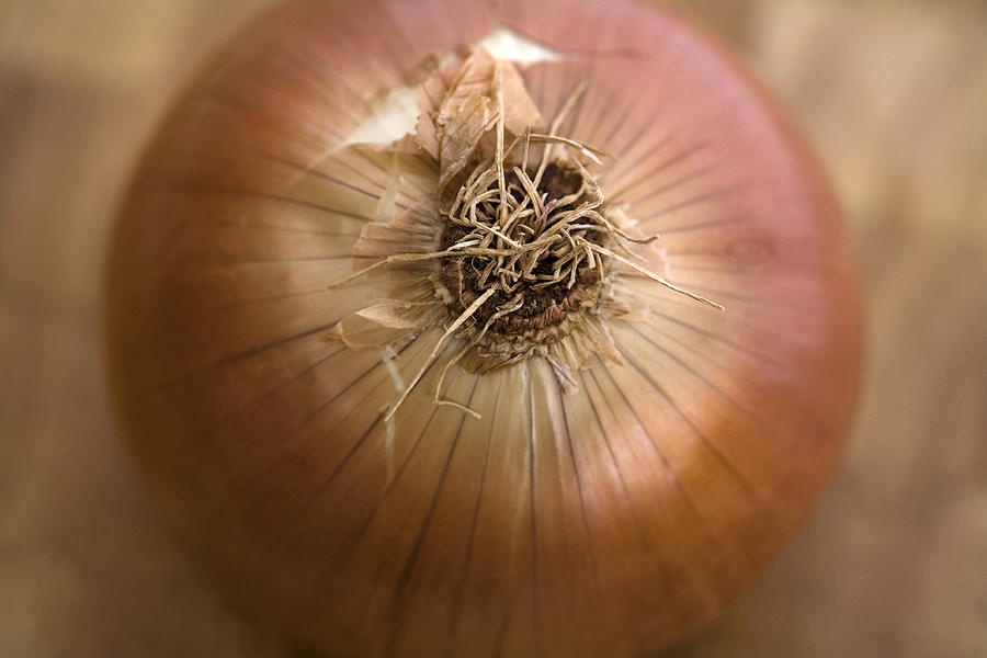 Onion Photograph by Natalie Kinnear