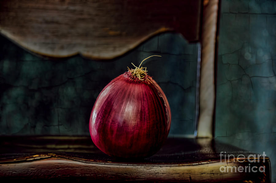 Onion on a Chair Photograph by Norma Warden