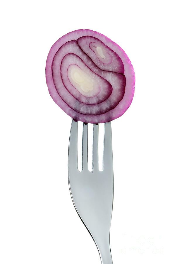 Onion Rings On Fork Against White Photograph by Lee Avison