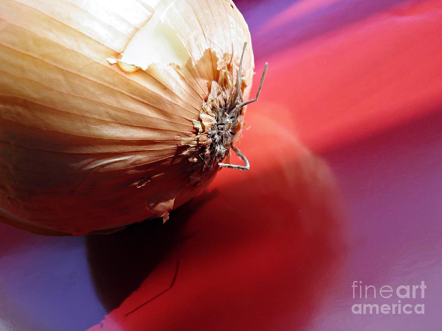 Onion Photograph by Sarah Loft