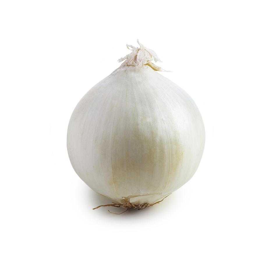 Onion Photograph by Science Photo Library