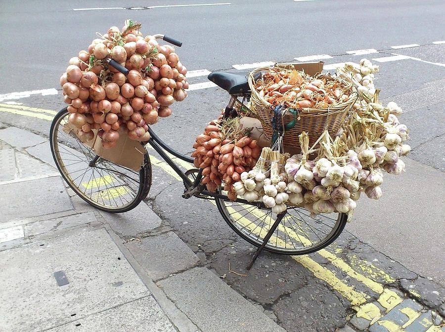 Onion Sellers Bike Photograph by Richard Newstead