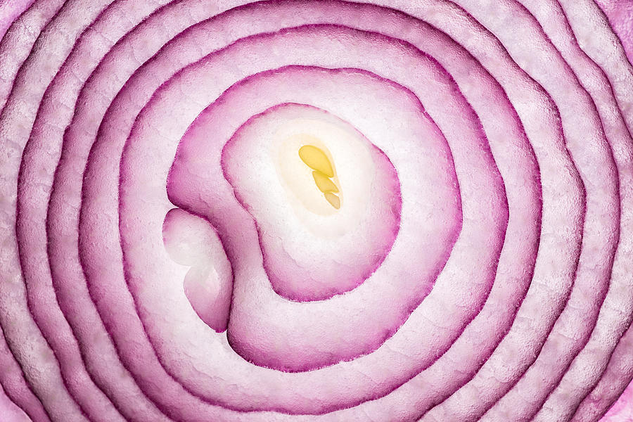 Onion Slices Full Frame Close Up Shot Photograph by MirageC
