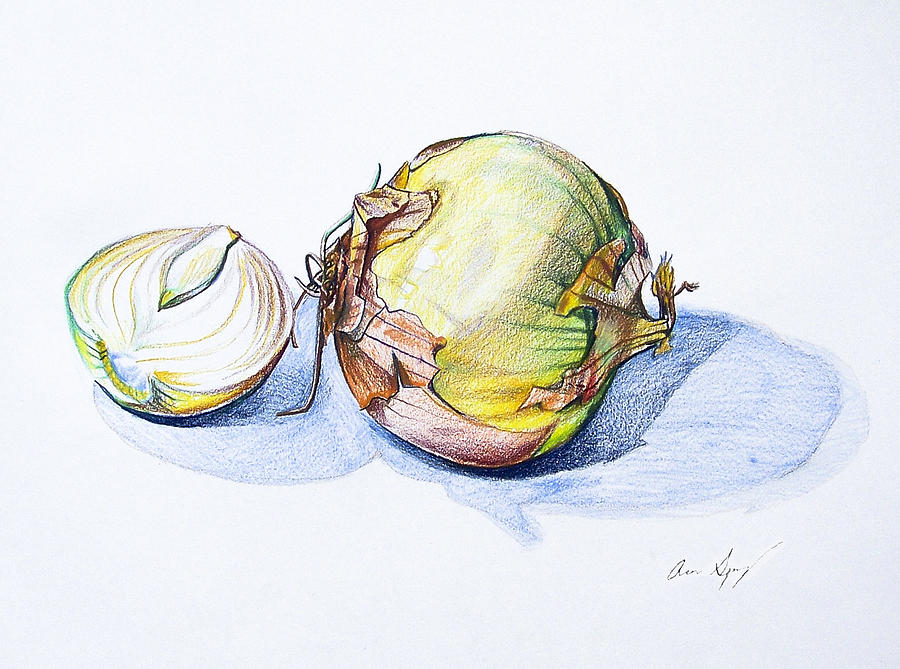 Onion Painting - Onions by Aaron Spong