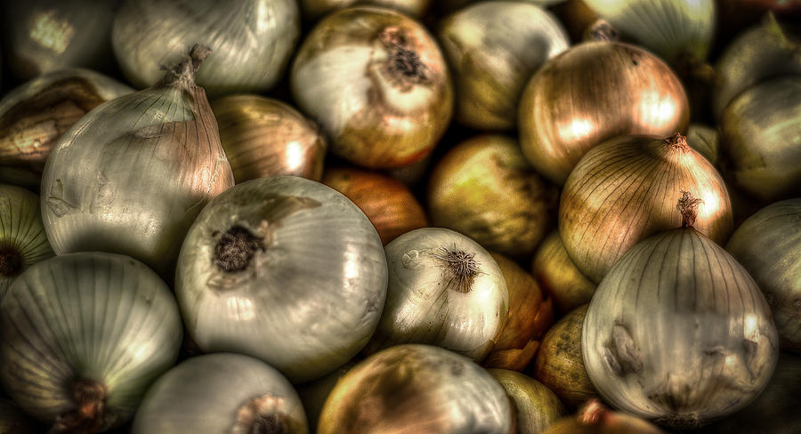 Vegetable Photograph - Onions by David Morefield