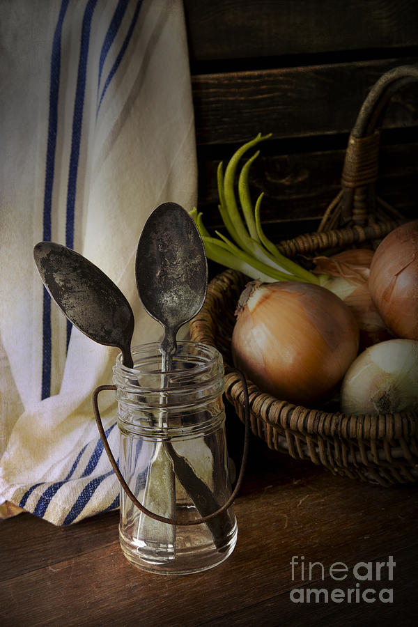 Onion Photograph - Onions by Elena Nosyreva
