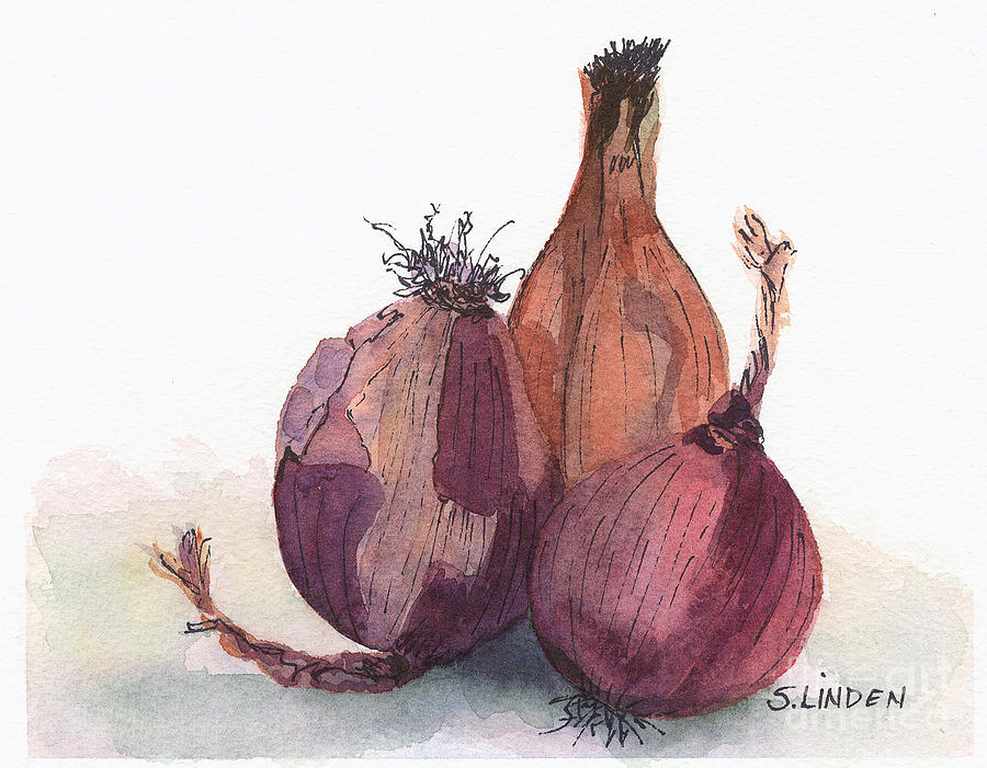 Onions Painting by Sandy Linden