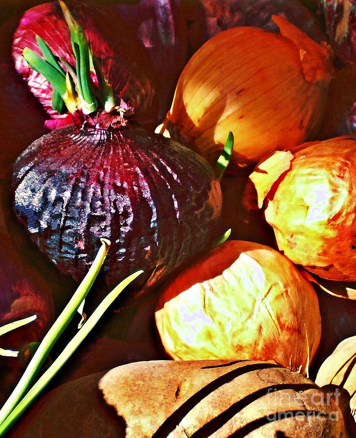 Vegetable Photograph - Onions by Sarah Loft
