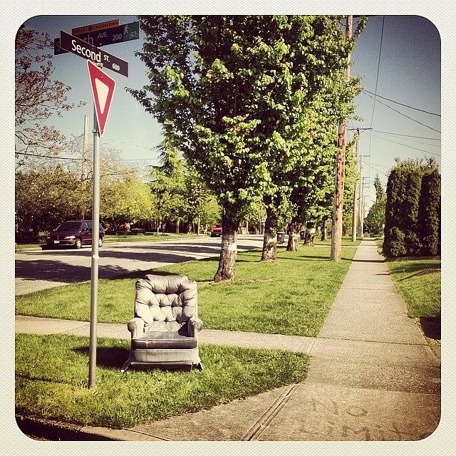 Tree Photograph - Only In #newwest #newwesminster #sofa by NRyan Ferrer