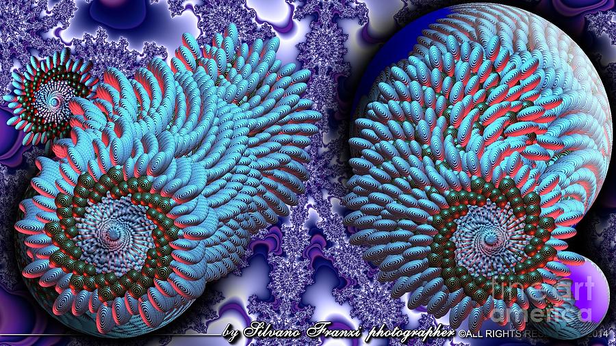 Only the fractals Digital Art by Silvano Franzi