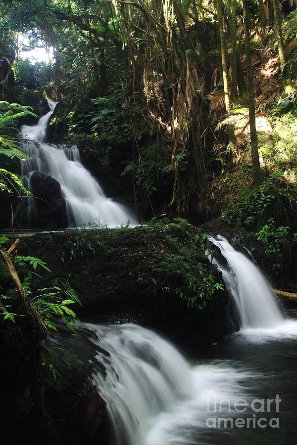 Onomea Falls 2 Photograph by Theresa Ramos-DuVon