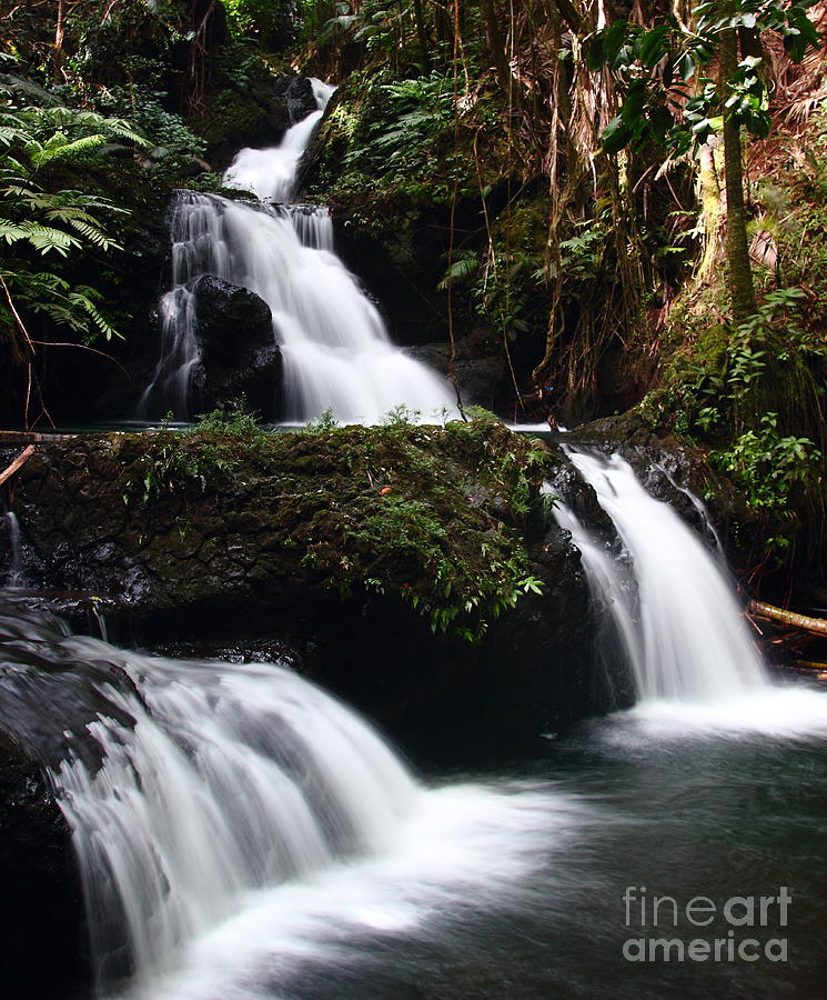 Onomea Falls  3 Photograph by Theresa Ramos-DuVon