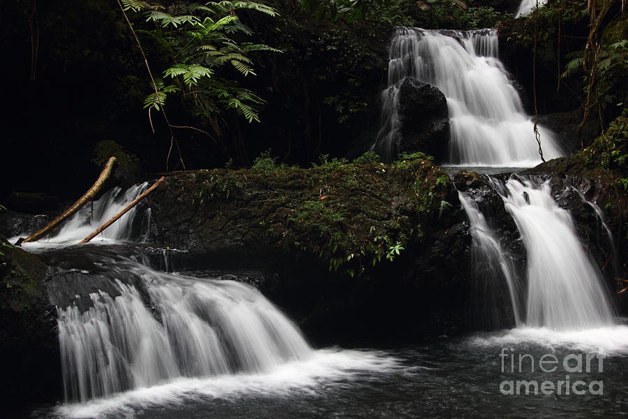 Onomea Falls Landscape Photograph by Theresa Ramos-DuVon