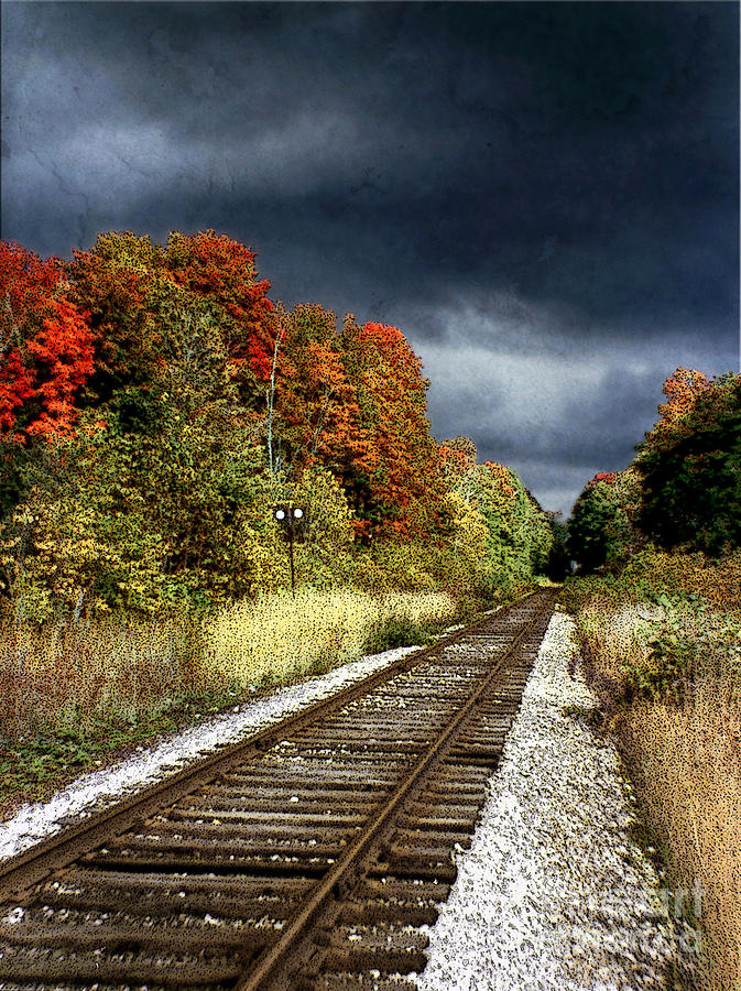 Ontario Autumn Photograph by Ellen Cotton